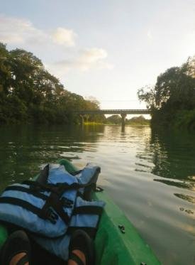 Pineapple Kayak Tours Pineapple Kayak Tours