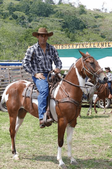 480 Horse Riders - Osa, Uvita - Ballena Tales Magazine & Travel Guide