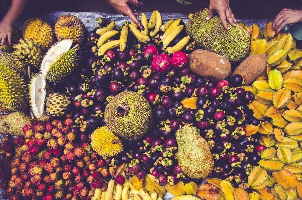 Costa Rica Fruit Festival - Ballena Tales Magazine And Free Travel Guide
