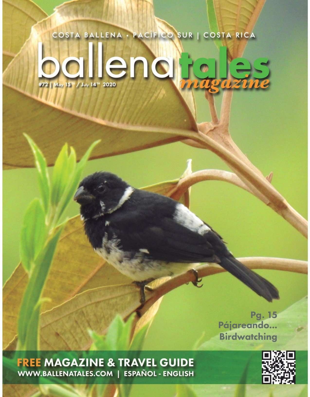BT72 PORTADA La Mejor Guía de Viajes Pacífico Sur Costa Rica #72 pajareros en Costa Rica