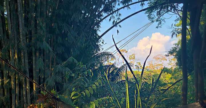 Cascada Verde Hostel Uvita. Enjoy Costa Rica’s jungle vibes!