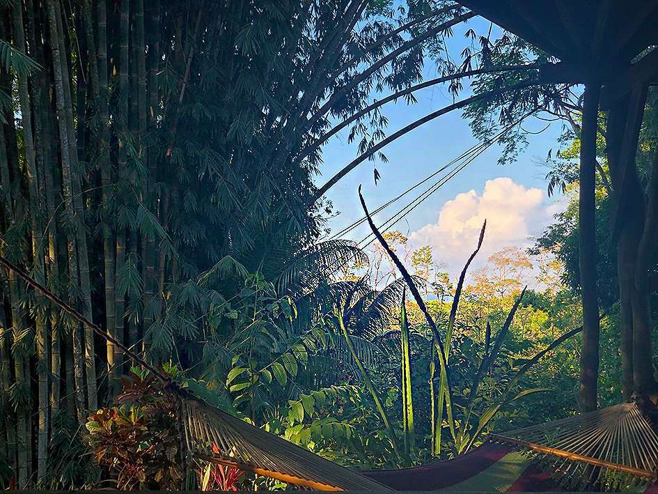 Cascada Verde Hostel Uvita. Enjoy Costa Rica’s jungle vibes!