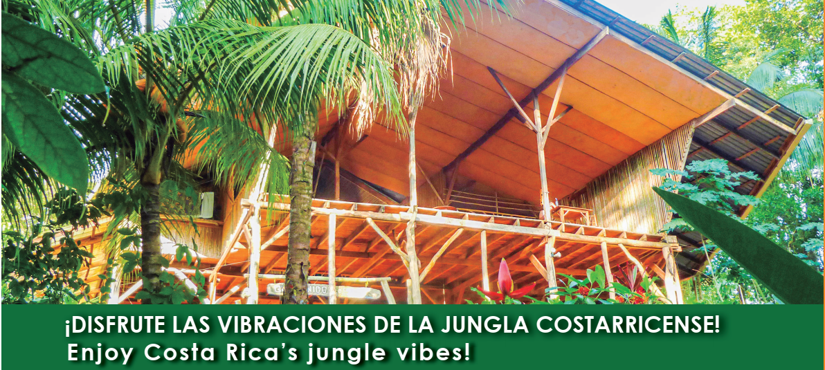 La Cascada Hostel Uvita. Enjoy Costa Rica’s jungle vibes!