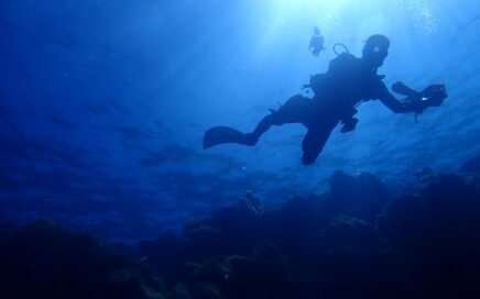 The Crystal Floor: Discovering the wonderful underwater biodiversity 16 Discovering the wonderful underwater biodiversity
