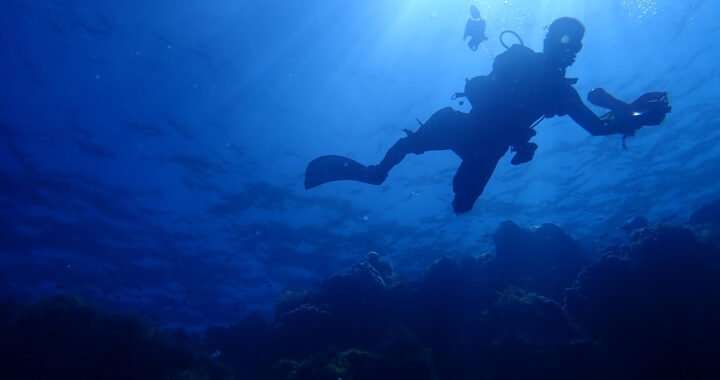 Discovering the wonderful underwater biodiversity