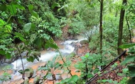 Ocean View Property vs. Mountain and Jungle View Property 4 Ocean View vs. Mountain and Jungle View - Vista al mar