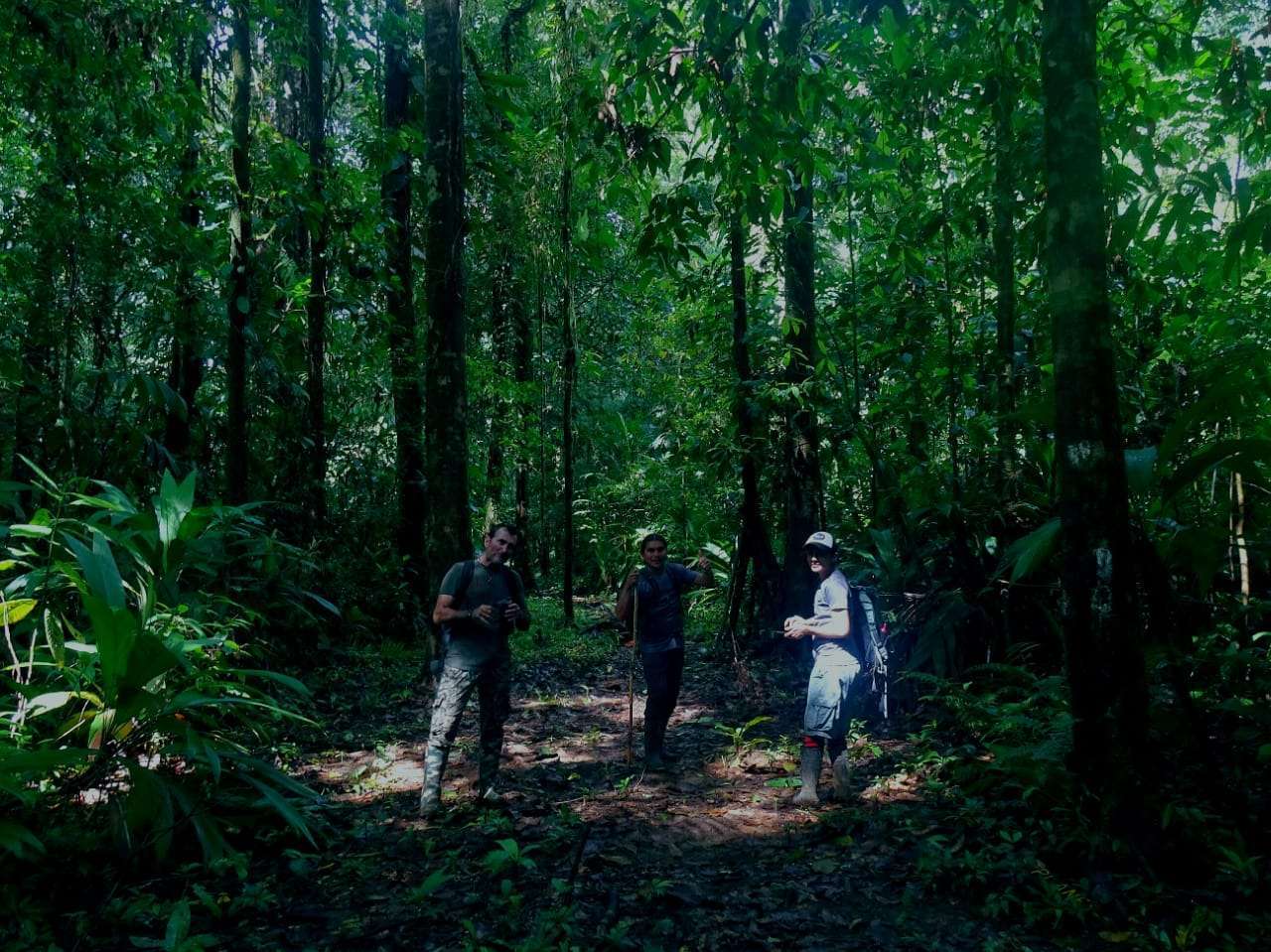 Freiwilliger Umweltschutz im Süden Costa Ricas