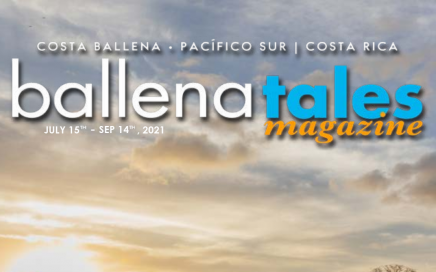 Ballena Tales Magazine