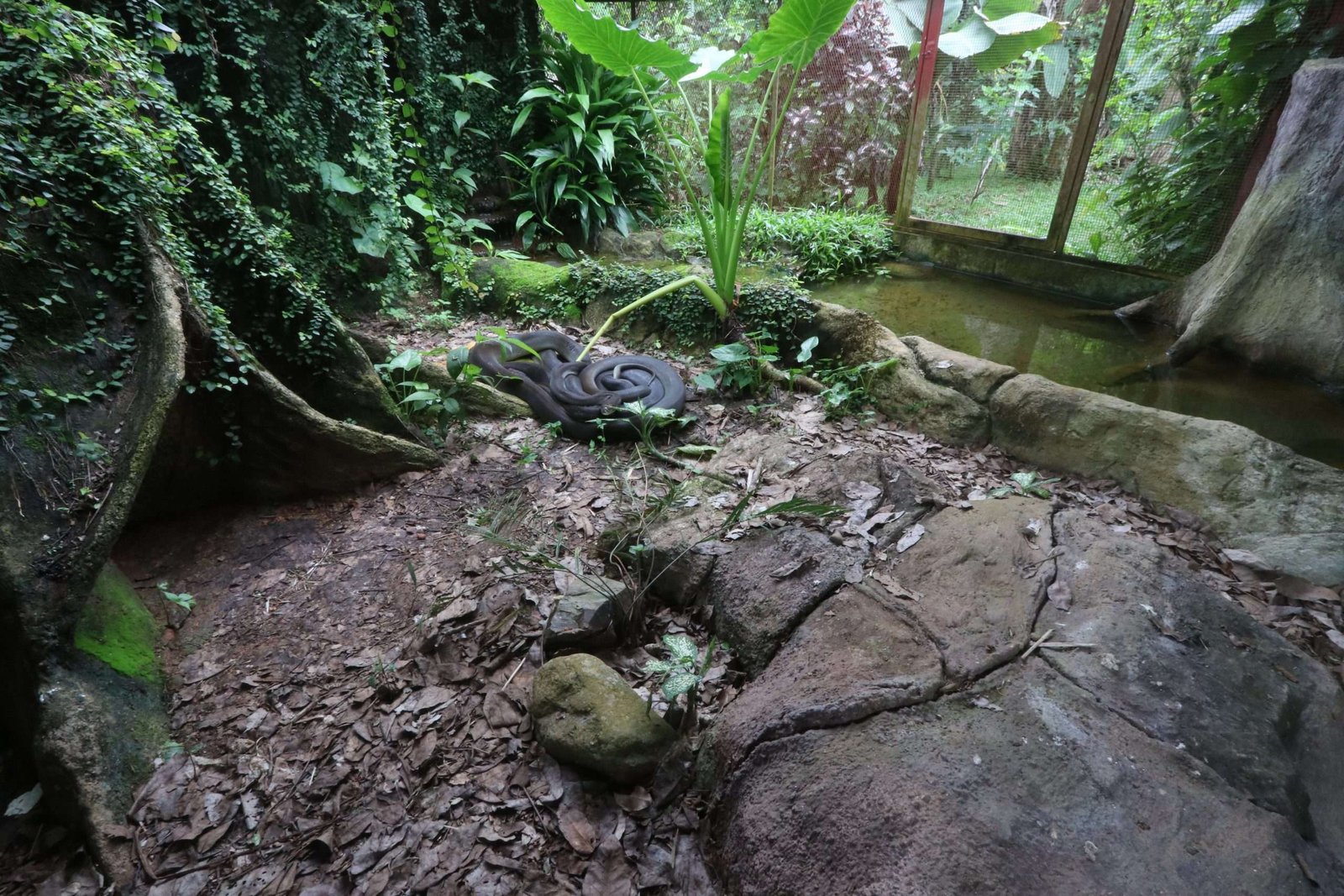 Vivariums (3) Die Gehege im Reptilandia-Park: Tierfreundlich und modern