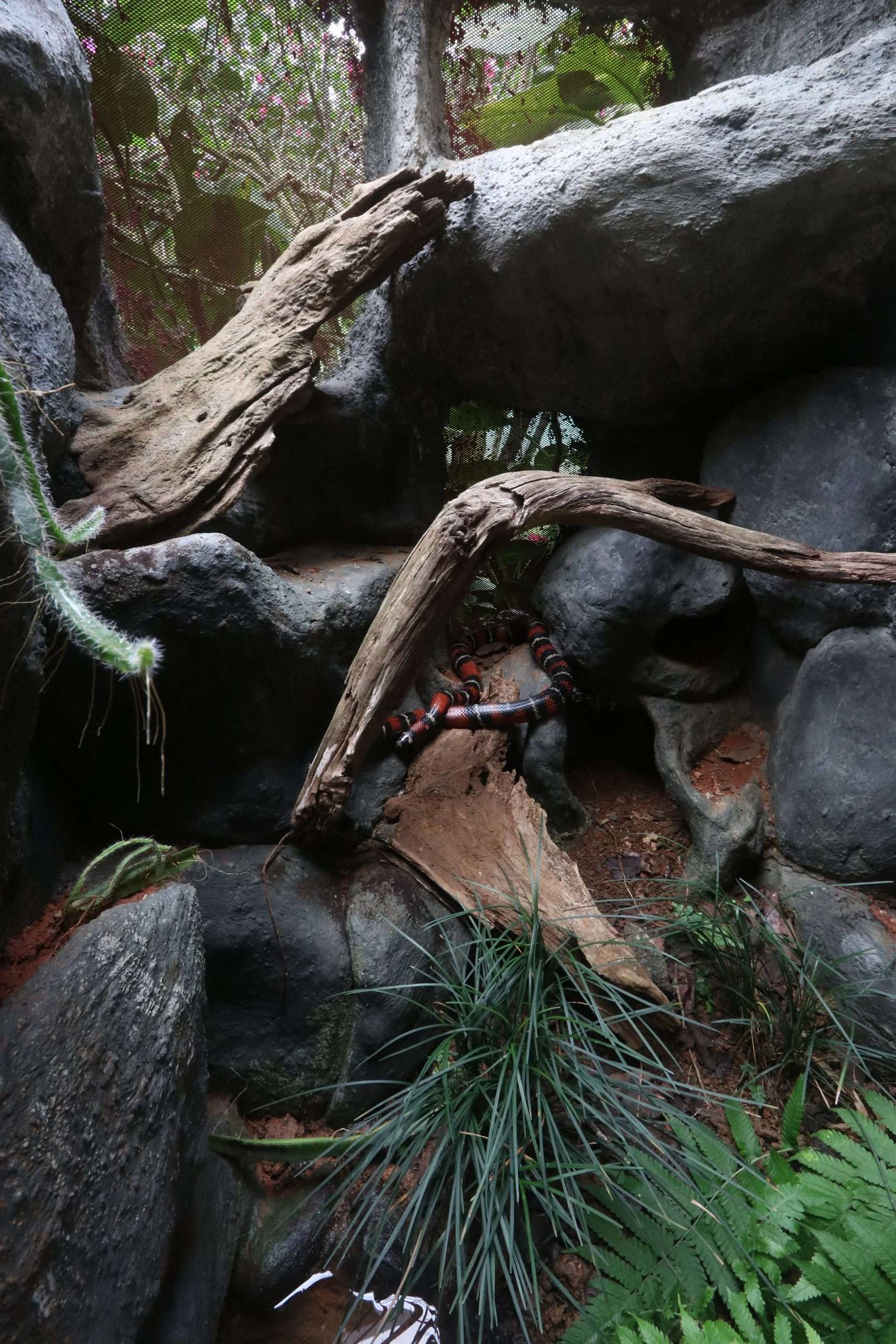 Die Gehege im Reptilandia-Park: Tierfreundlich und modern