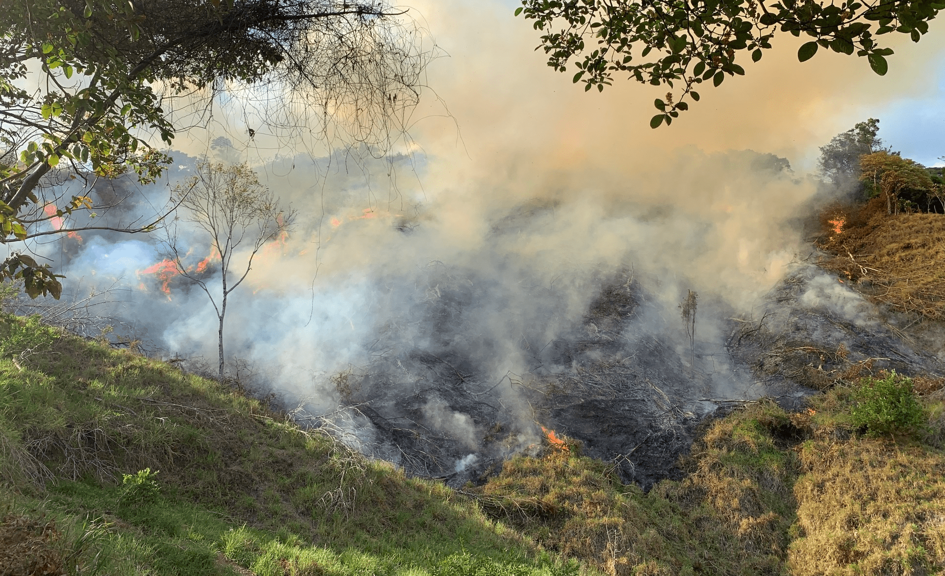 Burning land Causes Devastating Problems