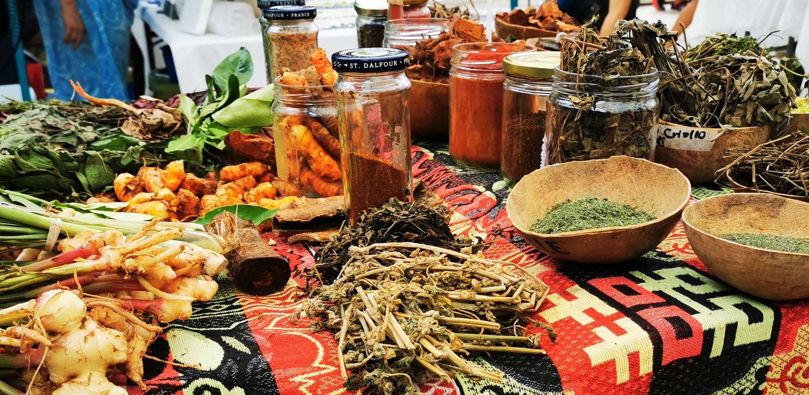 El Neem Y Sus Extraordinarios Beneficios, Costa Rica 2022