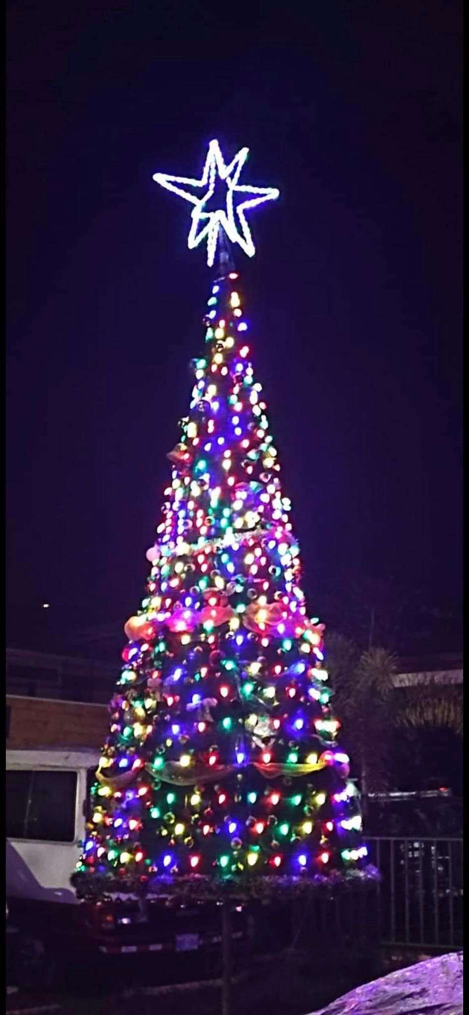 Dominical Festival de la Luz - Arbol de Navidad