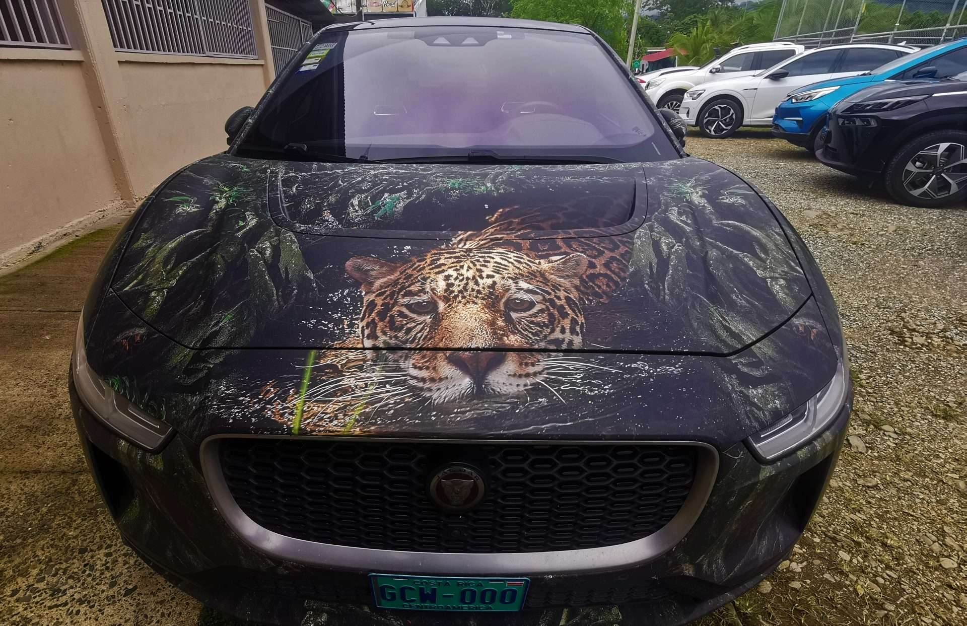 Ruta Electrica- Jaguar