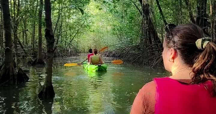 Kayak Tour through the Mangroves 1