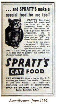 Cat Advertisement
