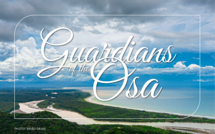 Guardians of The Osa
