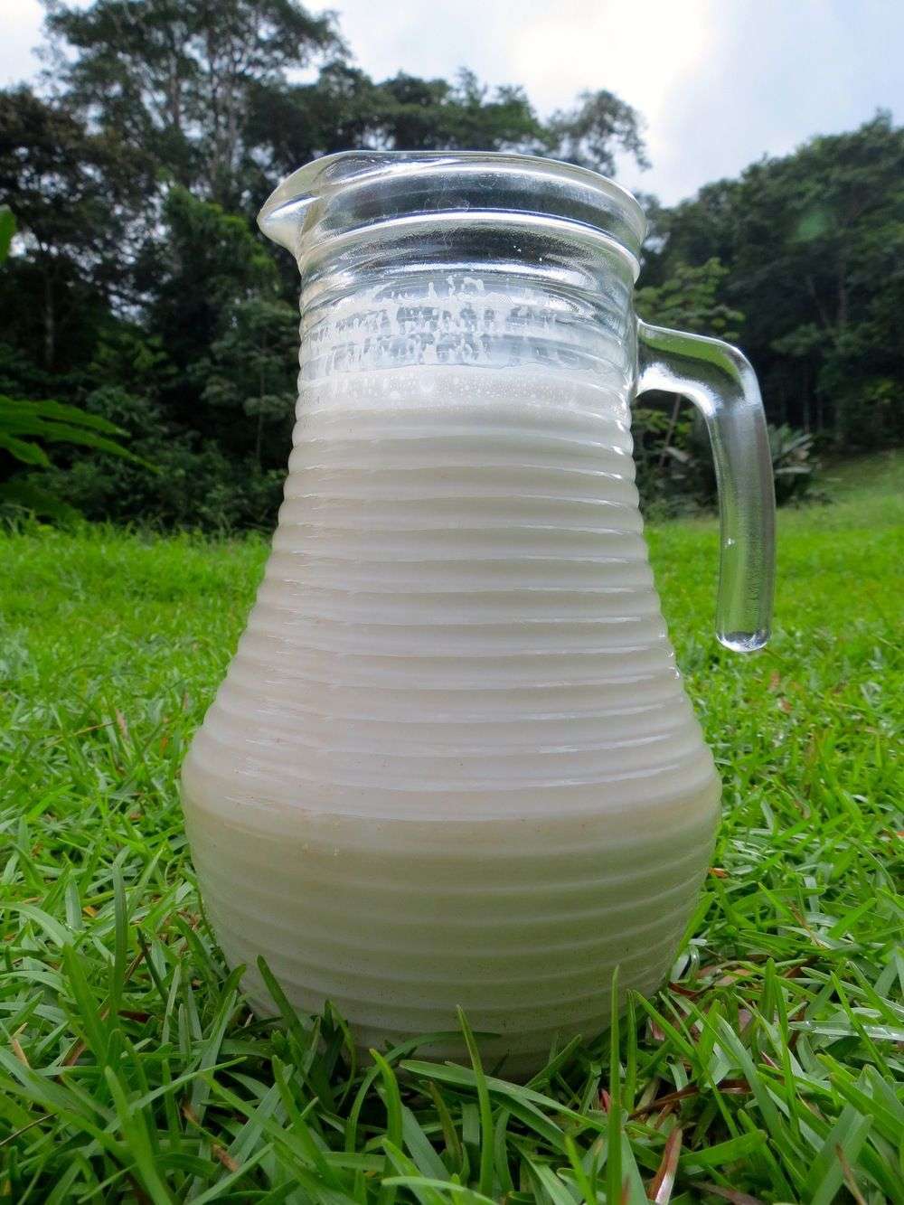 Coconut Milk 3